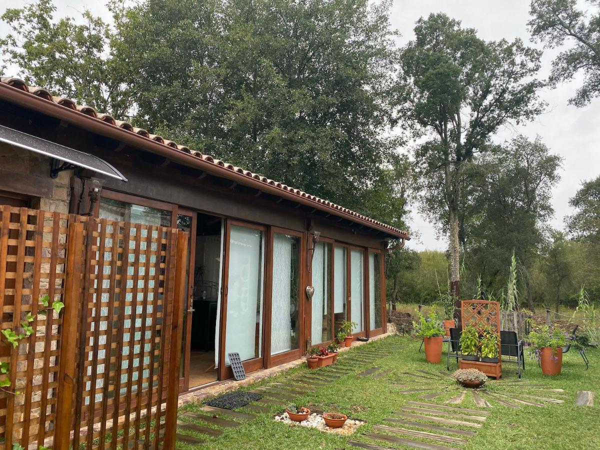 The Old Watermill Retreat - O Retiro Da Azenha Velha Apartment Vila Nova de Poiares Exterior photo