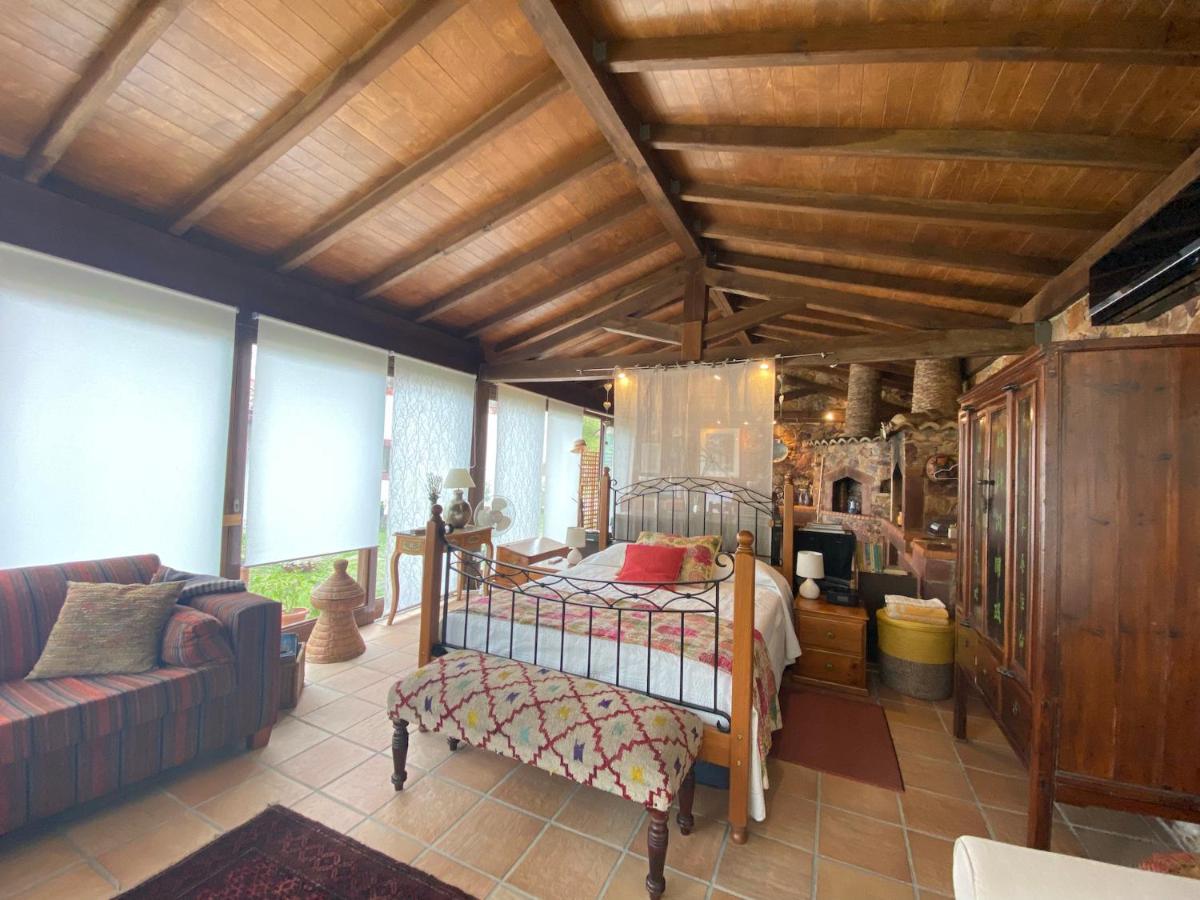 The Old Watermill Retreat - O Retiro Da Azenha Velha Apartment Vila Nova de Poiares Exterior photo