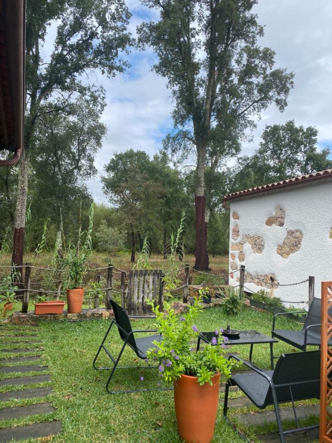 The Old Watermill Retreat - O Retiro Da Azenha Velha Apartment Vila Nova de Poiares Exterior photo